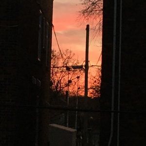 Meet your Posher, Erik